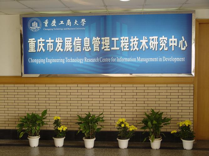 67重庆市发展信息管理工程技术研究中心